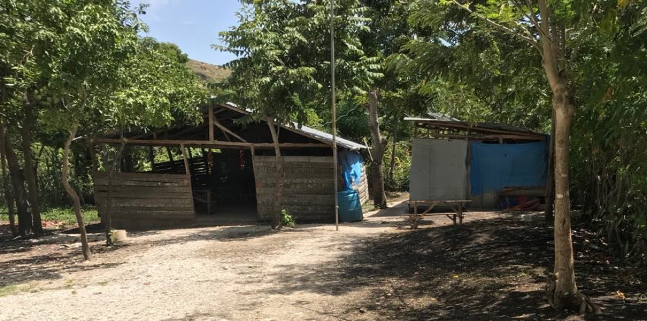 Coup Mardi Gras School Haiti